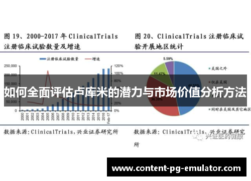 如何全面评估卢库米的潜力与市场价值分析方法