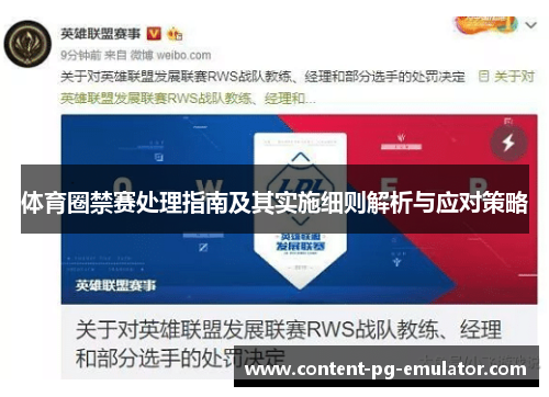 体育圈禁赛处理指南及其实施细则解析与应对策略