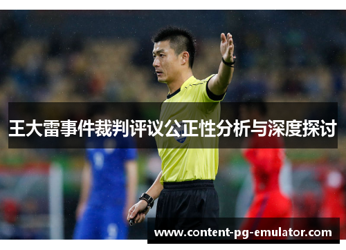 王大雷事件裁判评议公正性分析与深度探讨