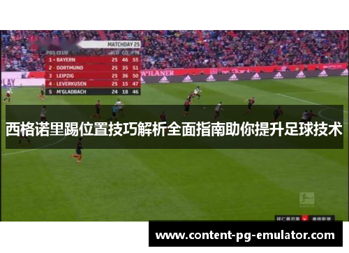 西格诺里踢位置技巧解析全面指南助你提升足球技术