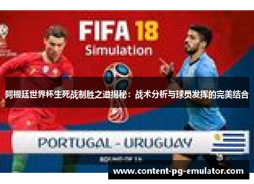 阿根廷世界杯生死战制胜之道揭秘：战术分析与球员发挥的完美结合