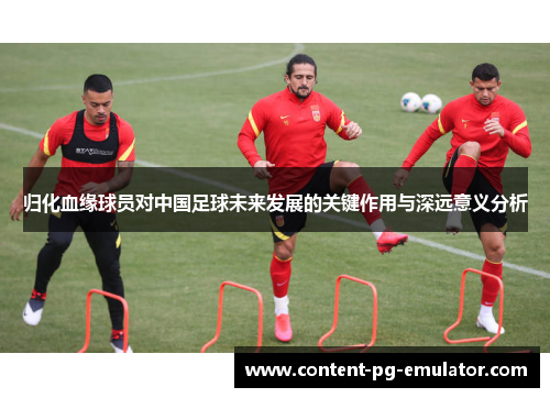 归化血缘球员对中国足球未来发展的关键作用与深远意义分析